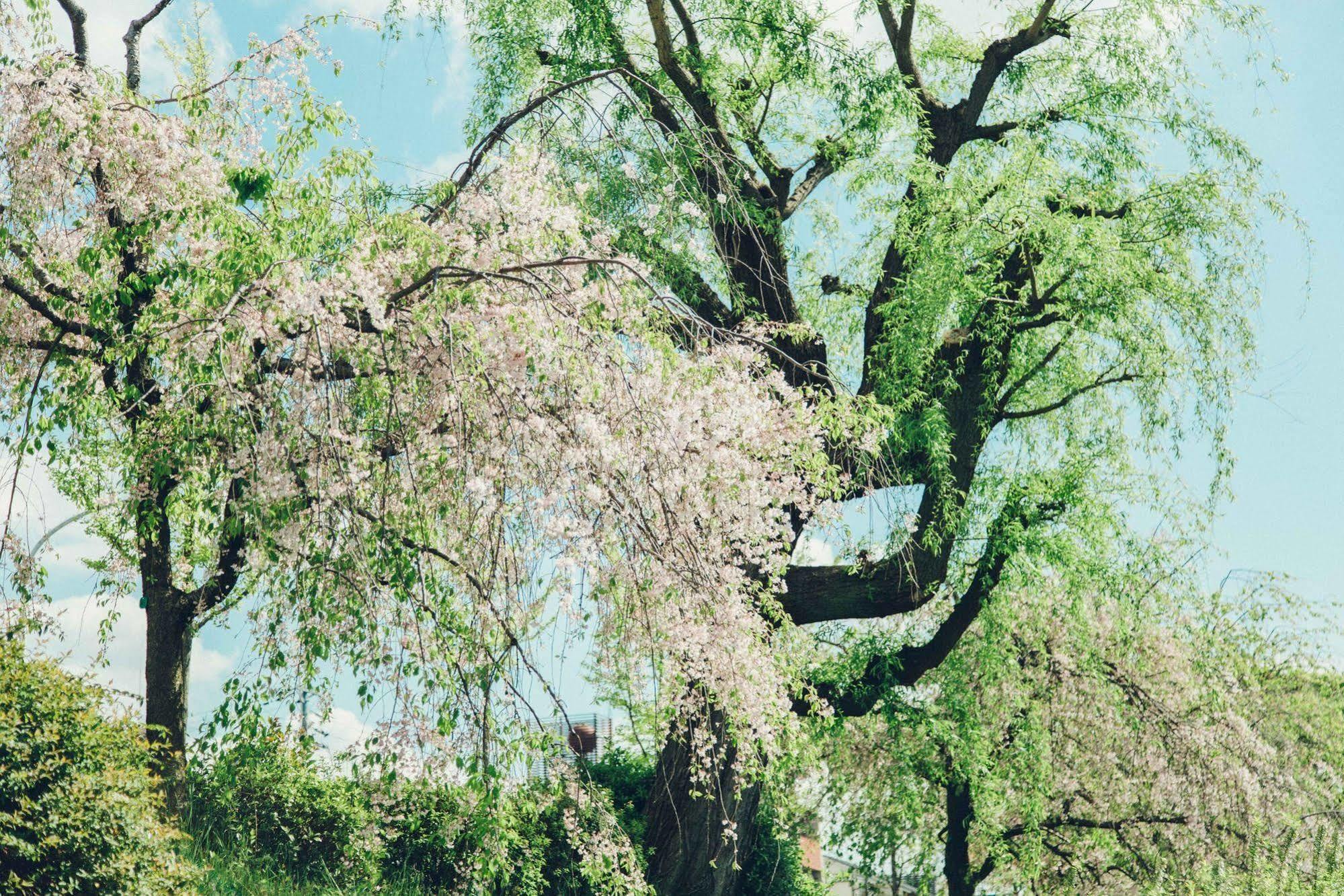 Хостел Len Kyoto Kawaramachi Екстер'єр фото
